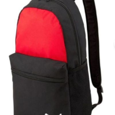 Puma TEAMGOAL Çanta